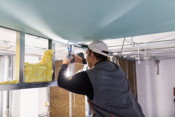 Best Residential Insulation Services  in Pinecrest, FL