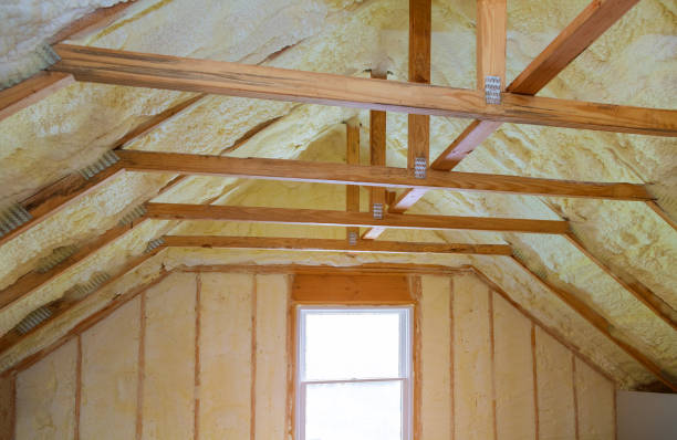 Best Crawl Space Insulation  in Pinecrest, FL
